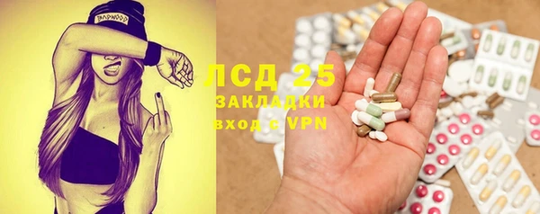 ПСИЛОЦИБИНОВЫЕ ГРИБЫ Алзамай