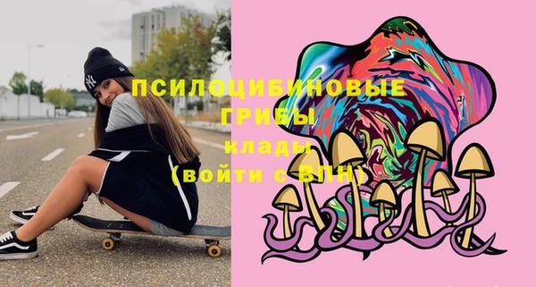 ПСИЛОЦИБИНОВЫЕ ГРИБЫ Алзамай