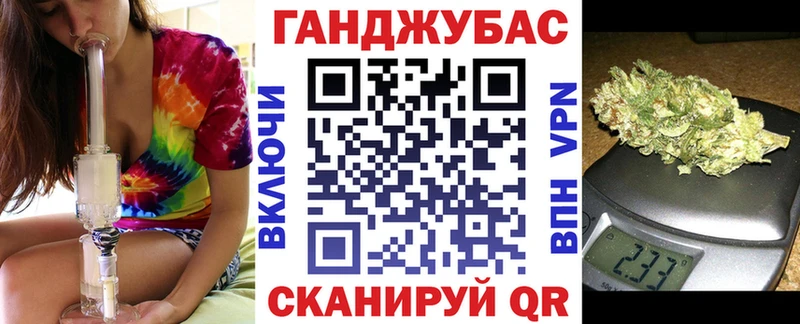 где купить наркотик  Грязовец  мега ONION  Канабис сатива 